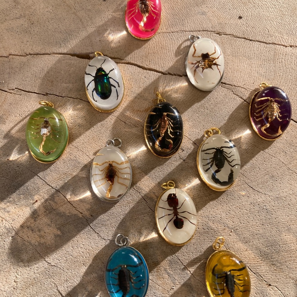 Real Ant Scorpion Beetle Spider Pendant Necklace Taxidermy insect necklace chain